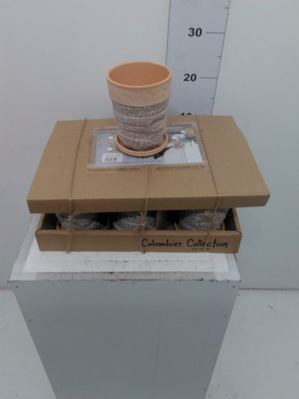 Vaso Terracotta Sabbia H. 12 Cm ( Cf Da 6 Pz)