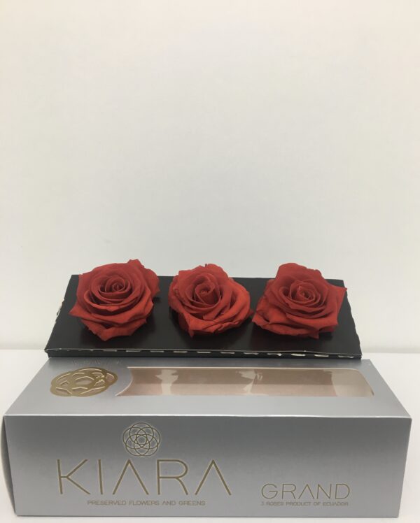 Rosa Preservata Premium Ø 9 Cm (cf Da 3 Pz) Rossa