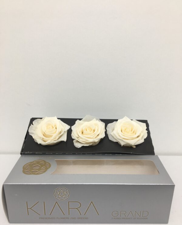 Rosa Preservata Premium Ø 9 Cm (cf Da 3 Pz) Bianca