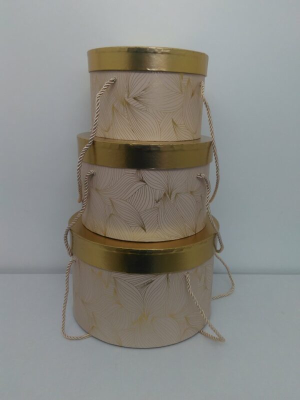 Cappelliera Tonda S/3 Rosa Coperchio Oro/trasp Pd20 H13-gr D.27-h.17