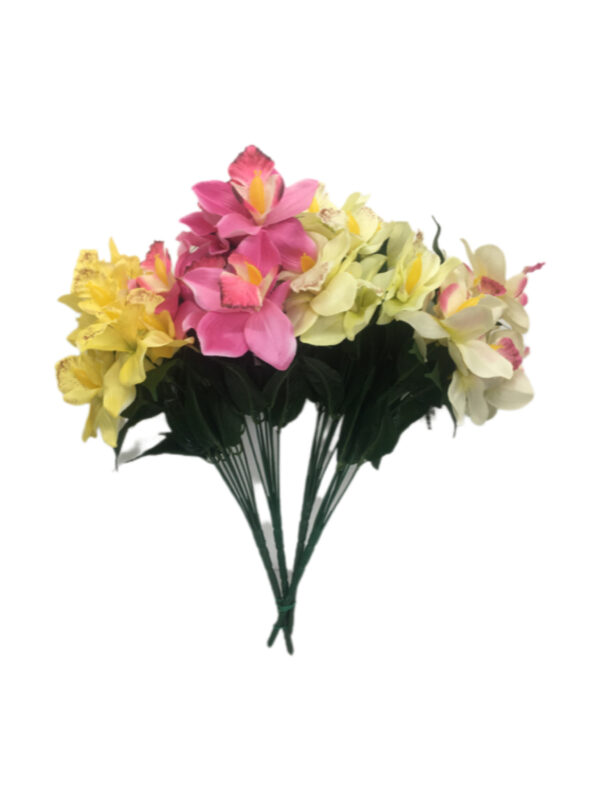 Orchidea Bush X9