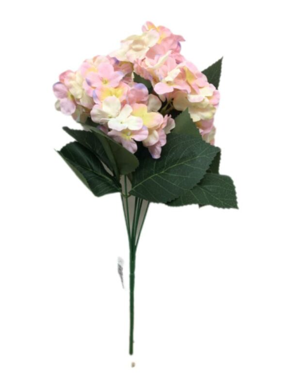 Hydreangea Bush X7 Rosa