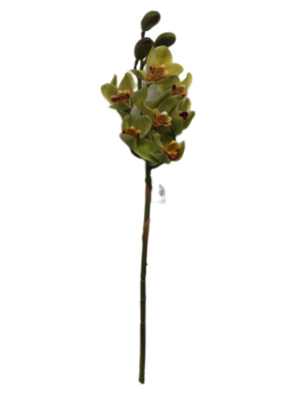 Fiore Artificiale Cymb. Verde H.80 Cm