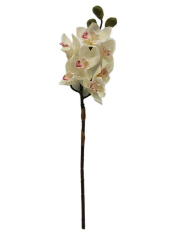 Fiore Artif. Phalenopsis H. Cm 87 Crm Bianco