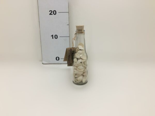 Glass Bottiglie Shelland 5x16,5 Cm Mix