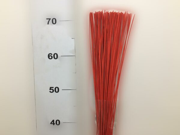 Rattan Rosso Bs Da 100 Gr (midol.)
